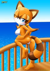 4_toes anthro anus ass bbmbbf big_breasts blush breasts female hi_res hindpaw looking_at_viewer looking_back mammal marine_the_raccoon mobius_unleashed nipples nude one_eye_closed outside palcomix paws plantigrade pose pussy raccoon sea soles solo sonic_(series) standing toes water wink young