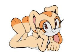 cream the rabbit from sega by bunguy