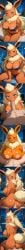 eeveelution from pokemon