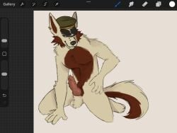 cap furry furry_only male_only oc original_character penis red_fur white_fur