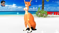 1girls 3d 3d_(artwork) animated anthro ass beach bouncing_breasts breasts completely_nude_female dancing dead_source dog_girl female_focus fluffy_tail furry furry_female music naked naughty_face nipples nude nude_female orange_fur paw_patrol skye_(paw_patrol) sound spanish tagme tail tetramundo video