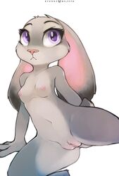 2016 :< anthro breasts clitoris disney female foxinshadow fur furry furry_only grey_fur humanoid_pussy judy_hopps lagomorph long_ears looking_at_viewer mammal naked navel nipples nude presenting presenting_pussy purple_eyes pussy rabbit simple_background small_breasts solo spread_legs spreading tail white_background zootopia