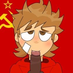 blowjob blowjob_face eddsworld face_closeup gay self_upload toony tord_(eddsworld)