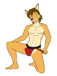 anthro canid canine canis clothed clothing coyote erection erection_under_clothing fuze grin hi_res jockstrap jockstrap_only looking_at_viewer male mammal mond_reyes navel nipples simple_background smile solo tenting texnatsu topless underwear underwear_only white_background