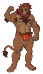 abs anthro barazoku barefoot belt big_muscles bulge clothed clothing feline flexing front_view full-length_portrait hairy lion male male_only mammal muscular nipples pecs plantigrade portrait rossciaco sketch solo standing thong topless