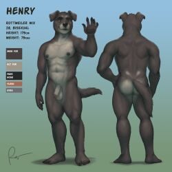 1:1 5_fingers anthro ass balls biped canid canine canis color_swatch countershade_torso countershading domestic_dog fingers flaccid floppy_ears foreskin genitals henry_(ofpmylmpe) hi_res humanoid_genitalia humanoid_penis male mammal mastiff model_sheet molosser nude penis rottweiler rov solo tail