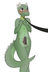 anthro balls blush bodily_fluids charrak_(golddrake) chastity_cage chastity_cage_only chastity_device chastity_device_only collar collar_only erection gem genital_fluids genitals gold_(metal) gold_collar green_body green_scales head_spikes hi_res kobold leaking_precum leash male metal_collar nervous nude penis precum ruby_(gem) scales solo spiked_tail spikes spikes_(anatomy) tail tomasyri