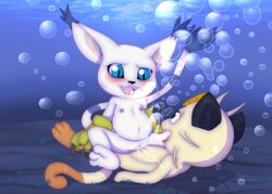 black_ears blue_eyes blush bubble claws clothing crossover cum cum_inside digimon ear_tuft feline female fur gatomon gloves hi_res launny long_tail male mammal meowth navel nintendo nipples penetration pokemon pussy sex slightly_chubby straight tuft underwater vaginal_penetration video_games water wet wet_pussy whiskers white_fur