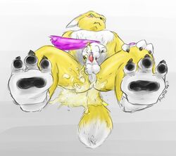 animal_genitalia animal_penis anthro balls canine digimon dog_penis fox hindpaw looking_at_viewer male male_only mammal pawpads paws peeing penis piss pissing renamon standing urine watersports wolftacos