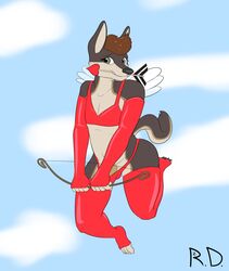 2016 4_toes anthro arrow balls bow_(weapon) canine clothed clothing crossdressing cupid dr_zombie fur girly green_eyes hair hi_res holding_object holding_weapon legwear looking_at_viewer male mammal pawpads paws penis ranged_weapon simple_background smile solo teeth toes tuton underwear watermark weapon wolf