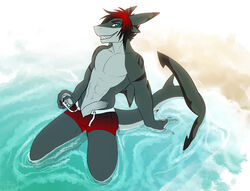 abs anthro beach bulge clothed clothing erection fish humanoid_penis kneeling looking_at_viewer male male_only marine penis piranhapettingzoo seaside shark sharp_teeth smile solo swimsuit teeth uncut unzipped