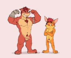 2boys activision animal_genitalia animal_penis anthro balls bandicoot body_hair brothers chest_hair crash_(series) crash_bandicoot crunch_bandicoot digital_media_(artwork) erection fur genitals green_eyes hi_res humanoid_genitalia ijpalette-color male male/male male_only mammal marsupial muscular muscular_anthro muscular_male nipples nude orange_body pecs penis simple_background smile vein veiny_penis