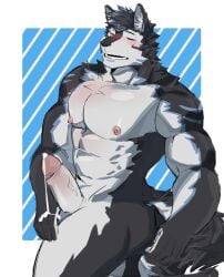 abs anonymous_artist anthro archermagnum black_body black_fur clothing fur genitals hi_res male muscular muscular_male penis solo tail thunderrangers underwear white_body