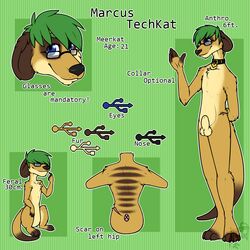 1boy animal_genitalia animal_penis anthro balls coldheartedhero collar copy-paste_genitalia eyewear feral glasses green_hair hair hi_res male male_only mammal marcus_techkat meerkat model_sheet mongoose pattern_background penis scar sheath simple_background solo