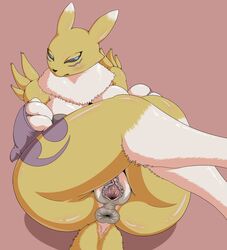 renamon from digimon by liarborn