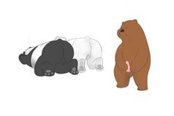 ass backsack balls bear grizzly_(character) grizzly_bear group ice_bear male male_only mammal masturbation panda panda_(character) penile_masturbation penis polar_bear presenting presenting_hindquarters simple_background unknown_artist we_bare_bears