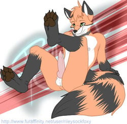 1boy anthro balls canine collar digital_art erection fluffy fox hindpaw laying_back male male_only mammal nipples paws penis rileysockfoxy sketch solo toes tragger