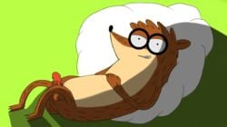 1boy anthro balls cartoon_network erection fur hair looking_at_viewer male male_only mammal masturbation nikolai-the-wolfdog nude penile_masturbation penis pillow procyon raccoon regular_show rigby simple simple_background smile solo