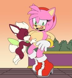 amy rose from sega by leatherruffian