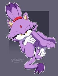 blaze the cat from sega by spindasher98