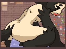 1boy 1girls 2d 4:3 4:3_aspect_ratio akai_(ugokashitari) animated animated_image anthro anthro_focus anthro_penetrated anus ass ass_focus asshole bernese bernese_mountain_dog black_fur black_hair black_tail blush blushing_female bouncing_breasts breasts closed_eyes cum cum_in_pussy cum_in_vagina cum_inside cum_inside_pussy cum_inside_vagina cumming cumming_from_vaginal_sex cumming_in_pussy cumming_in_vagina cumming_inside cumming_inside_pussy cumming_inside_vagina cumming_together cumming_while_penetrated cumming_while_penetrating dog_ears dog_girl dog_tail female female/male female_focus game_cg genitalia horizontal_image horizontal_video light-skinned light-skinned_female light_skin light_skin_female light_skinned light_skinned_female longer_than_10_seconds male male/female medium_ass medium_breasts medium_butt medium_tits naked naked_female no_sound penis pixel_animation pixel_art pointy_ears princess_and_conquest pussy sex short_playtime shorter_than_10_minutes shorter_than_30_seconds shorter_than_3_minutes shorter_than_five_minutes shorter_than_four_minutes shorter_than_one_minute shorter_than_two_minutes sitting sitting_down sitting_on_penis sitting_on_person vagina vaginal_fluids vaginal_juices vaginal_penetration vaginal_sex visible_anus visible_areolae visible_ass visible_breasts visible_nipples visible_penis visible_penis_shape