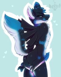 1boy 2016 anthro ass blue_hair blue_penis canine clothing collar erection fur hair heart looking_at_viewer lovespell male male_only mammal penis raised_tail simple_background solo tongue tongue_out underwear winter_(yuki-the-fox)