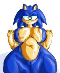 2d 2d_(artwork) 2d_artwork anthro bedroom_eyes big_ass big_belly big_breasts big_butt big_nipples big_thighs blue_body blue_hair blue_quills blue_skin breasts busty female female_only front_view furry furry_ears furry_female furry_only genderswap_(mtf) green_eyes hedgehog hedgehog_girl looking_at_viewer looking_down looking_down_at_viewer muscular_thighs ocinico pudgy_belly rule_63 smirk solo solo_female solo_focus sonic_(series) sonic_the_hedgehog sonic_the_hedgehog_(series) sonique_the_hedgehog thick thick_thighs thighs voluptuous white_background