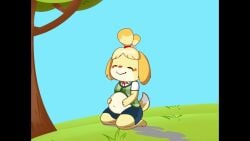 animal_crossing animated digested digestion digestion_noises hyper hyper_belly inflated_belly inflation isabelle_(animal_crossing) same_size_vore soft_vore sound struggling struggling_prey tagme unwilling unwilling_prey video vore vore_belly