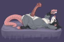 5_fingers american_opossum animal_genitalia animal_penis anthro armpit_tuft balls big_balls big_penis black_body black_feet black_fur black_hair brown_eyes claws device electronics equine_genitalia equine_penis erection fangs feet fingers fur furless_tail genitals grey_body grey_fur hair hexacult hexposs_(hexacult) hi_res huge_balls huge_cock long_tail looking_at_object looking_at_phone lying male mammal marsupial mattress medial_ring mismatched_animal_penis mismatched_genitalia mismatched_penis nipple_outline on_back penis phone pink_ears pink_feet pink_hands pink_nose pink_tail purple_background red_penis sheath side_view simple_background slightly_chubby solo tail teeth thick_tail thick_thighs toe_claws white_balls white_body white_fur white_sheath