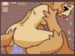 1boy 1girls 2d 4:3 4:3_aspect_ratio akai_(ugokashitari) animated animated_image anthro anthro_focus anthro_penetrated anus ass ass_focus asshole black_eyes blush blushing_female bouncing_breasts breasts brown-haired_female brown_areola brown_body brown_fur brown_hair brown_nipples brown_skin brown_tail closed_eyes cum cum_in_pussy cum_in_vagina cum_inside cum_inside_pussy cum_inside_vagina cumming cumming_from_vaginal_sex cumming_in_pussy cumming_in_vagina cumming_inside cumming_inside_pussy cumming_inside_vagina cumming_together cumming_while_penetrated cumming_while_penetrating dog_ears dog_girl dog_tail female female/male female_focus game_cg genitalia horizontal_image horizontal_video longer_than_10_seconds male male/female medium_ass medium_breasts medium_butt medium_tits naked naked_female no_sound penis pixel_animation pixel_art pointy_ears princess_and_conquest pussy sex short_playtime shorter_than_10_minutes shorter_than_30_seconds shorter_than_3_minutes shorter_than_five_minutes shorter_than_four_minutes shorter_than_one_minute shorter_than_two_minutes sitting sitting_down sitting_on_penis sitting_on_person vagina vaginal_fluids vaginal_juices vaginal_penetration vaginal_sex visible_anus visible_areolae visible_ass visible_breasts visible_nipples visible_penis visible_penis_shape