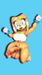 mobian (species) from sega by senna source