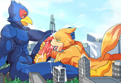 avian bird canine cum falco_lombardi fellatio fox fox_mccloud hi_res macro male male_only mammal mayar nintendo oral penis sex star_fox video_games yaoi