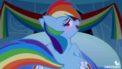 animal animal_tail animated bed bedroom blue_body blush bodily_fluids canaryprimary female feral feral_on_feral friendship_is_magic looking_at_viewer male my_little_pony nonhuman offscreen_character on_back on_bed penis pony pov purple_eyes pussy rainbow_dash_(mlp) rainbow_hair smile smiling smiling_at_viewer soarin_(mlp) sound sweat tagme tail vaginal_penetration video wings