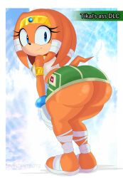 mobian (species) from sonic (series) by vincentbot