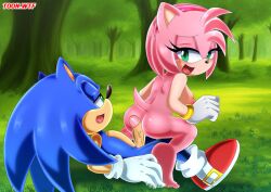 amy rose from sega by bbmbbf
