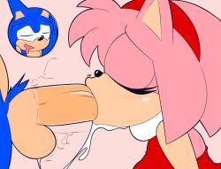 amy rose from sonic (series) by supersegasonicss