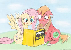 2012 2013 balls big_macintosh_(mlp) blonde_hair blue_eyes blush book cutie_mark duo earth_pony el-yeguero english_text equine feathered_wings feathers female feral fluttershy_(mlp) for_dummies friendship_is_magic fur green_eyes hair horse male mammal my_little_pony outside pegasus penis pink_hair pony red_fur shocked text wing_boner wings yellow_feathers yellow_fur