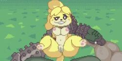 animal_crossing breasts crossover doom doom_slayer_(doom) eastern_and_western_character furry isabelle_(animal_crossing) naked naked_female nintendo nude nude_female pussy straight