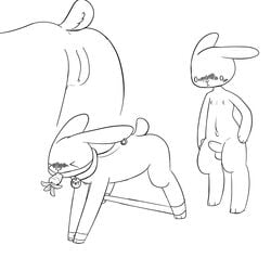 anthro ball_gag blush carrot collar cuntboy digitigrade duo ear_piercing food fur gag handcuffs intersex lagomorph long_ears male mammal nipples nude penis piebunny piercing pussy rabbit rabbit_tail shackles spreader_bar vegetable