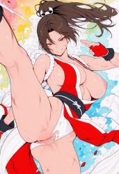 mai shiranui from fatal fury