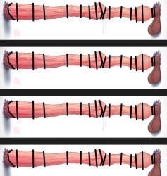 Booru post from rule34.xxx