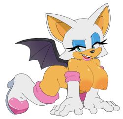 rouge the bat from sega by leatherruffian