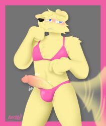 anthro baxter_(fuchsiafeatherz) bikini bird_dog blue_eyes blush bulge canid canine canis clothed clothing crossdressing domestic_dog embarrassed erection floppy_ears fuchsiafeatherz fur genitals golden_retriever hi_res hunting_dog looking_away male mammal penis retriever simple_background solo swimwear tail tail_motion tailwag throbbing throbbing_penis wardrobe_malfunction yellow_body yellow_fur