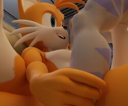 anthro big_penis canid canine dominant dominant_male duo female fox genitals larger_male leg_grab lombax male male/female mammal nude penis ratchet_and_clank reducktoe rivet_(ratchet_and_clank) sega size_difference size_play smaller_female smile sonic_(series) sonic_the_hedgehog_(series) sony_corporation sony_interactive_entertainment tails warfare_rivet