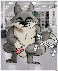 1boy 20th_century_fox agent_classified anthro anthrofied arctic_wolf balls canine dreamworks hi_res jerseydevil madagascar_(series) male male_only mammal masturbation muscular north_wind penile_masturbation penis solo the_penguins_of_madagascar wolf