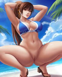 1girls alluring beach big_breasts bikini bikini_top bikini_top_only breasts cleavage daytime dead_or_alive female female_only flip_flops flowerxl hands_on_hair human human_only kasumi_(doa) large_breasts light-skinned_female light_skin looking_at_viewer no_panties oceanic_dolphin on_knees pussy sandals solo spread_legs video_game_character