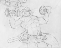 1boy abs anthro balls barbell bedroom_eyes biceps body_hair bulge clothed clothing erection exercise front_view greyscale half-closed_eyes happy_trail humanoid_penis looking_at_viewer male male_only mammal monochrome muscular mustelid neverwolf nipples opencanvas otter pecs pencil_(artwork) penis penis_outline penis_through_leghole poking_out reclining retracted_foreskin seductive smile solo topless traditional_media_(artwork) training uncut weightlifting weights workout