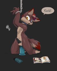 1boy anal anal_sex anthro book bound canine chains collar cuffs dildo english_text erection furry handcuffs hi_res key lube male male_only mammal nude open_mouth penetration penis ratcha_(artist) sex_toy shackles simple_background solo text wolf