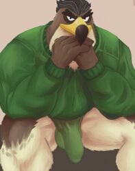 anthro avian balls bara barazoku bird bulge ducktales ducktales_(2017) falcon falcon_graves male male_only midnightsultry muscles muscular penis sitting solo solo_male sweater