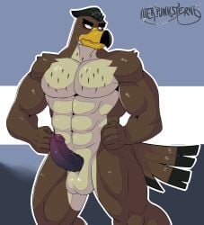 anthro avian balls bara barazoku bird boner ducktales ducktales_(2017) erection falcon falcon_graves male male_only muscles muscular nude penis solo solo_male vier_punksterne